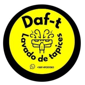 Lavado de Tapices daf _t24
